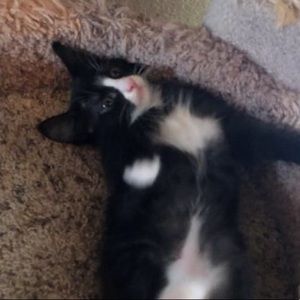 Meet your Posher, Emily